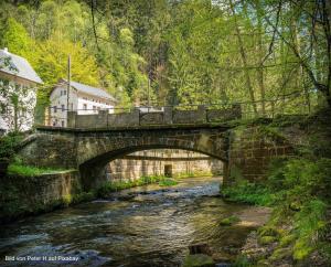 un viejo puente de piedra sobre un río en un bosque en FEWO am Markt, en Neustadt in Sachsen