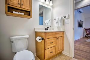 a bathroom with a toilet and a sink and a mirror at Walk to Main Street Eats Remodeled Saluda Apt in Saluda +18 photos