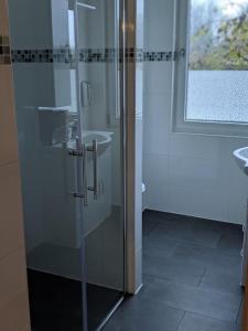 a glass shower in a bathroom with a sink at Asiatisches Landhaus in Braunsbedra