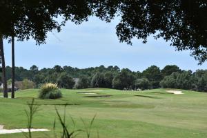 - une vue sur un parcours de golf avec un green dans l'établissement Family Condo 1504M with Golf Course, à Calabash