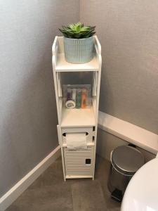 a white shelf in a bathroom with a plant on it at Apartment 76 in Kirkwall