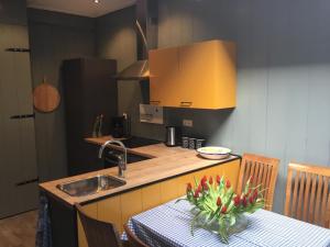 Kitchen o kitchenette sa B&B Alkmaars Toppunt XL