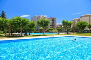 サロウにあるUHC Jerez Cordoba Sevilla Apartmentsの公園内のスイミングプールで泳ぐ者