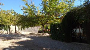 Afbeelding uit fotogalerij van Casa rural Alojamiento Garganton in Cabrita