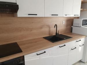 Küche/Küchenzeile in der Unterkunft Apartmani Peran
