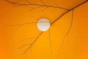 a close up of a tree branch against a yellow background at Villa Edera Exclusive Rental in Auressio +53 photos