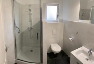 een badkamer met een douche, een toilet en een wastafel bij Gîte de Preuilly in Auxerre