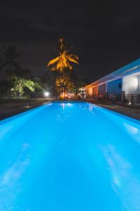 Selectum Mangrove Resort في بنغلاو: مسبح كبير في الليل مع نخلة