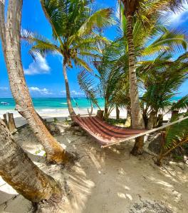 a hammock hanging between palm trees on a beach at Little Corn Island Beach and Bungalow in Little Corn Island