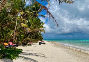 a sandy beach with palm trees and the ocean at Little Corn Island Beach and Bungalow in Little Corn Island