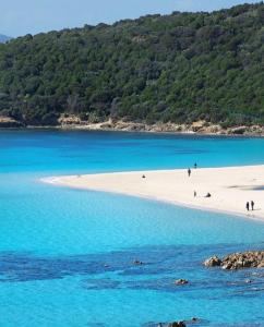 カポテッラにあるIl Vecchio Gineproの砂浜と青い海の上の人々と一緒に楽しめるビーチ