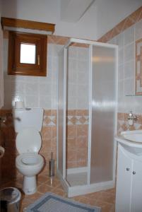 y baño con aseo, ducha y lavamanos. en Vila Elena 1astoning view, en Steni Vala Alonissos