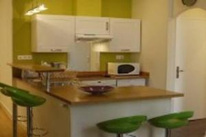 A kitchen or kitchenette at Barla 3 - a spacious one bedroom apartment near Place Garibaldi