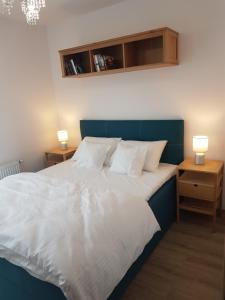 Posteľ alebo postele v izbe v ubytovaní Apartament Niebieski OPTILOCUS