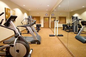 Fitness centrum a/nebo fitness zařízení v ubytování Holiday Inn Express Hotel and Suites Kingsville, an IHG Hotel
