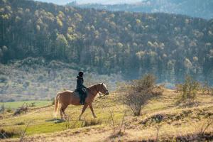 Gallery image of Potcoava Mountain Hideaway in Runcu