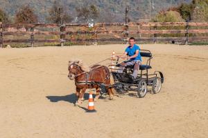Gallery image of Potcoava Mountain Hideaway in Runcu