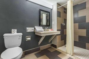 a bathroom with a toilet and a sink at Econo Lodge in Rock Hill