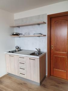 cocina con fregadero y puerta de madera en Hotel Residence Select en Praga