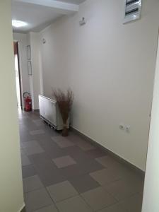a hallway with white walls and a floor with a plant at Prenoćište Konstantin 2008 in Niš