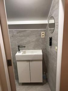 a small bathroom with a sink and a mirror at Apartement Zaventem in Zaventem