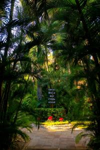 a view of a garden with palm trees and flowers at Villas El Rancho Green Resort in Mazatlán