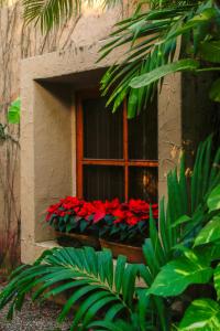 Villas El Rancho Green Resort في مازاتلان: نافذة بها زهور حمراء في صندوق النافذة