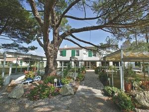 a large tree in a yard with a building at Le Parasol in Ars-en-Ré