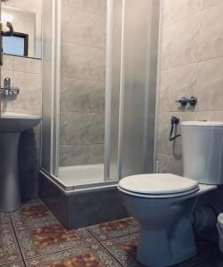 a bathroom with a toilet and a shower at Pensjonat Makuch in Korbielów +54 photos