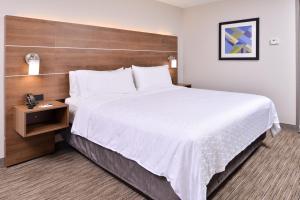 Lova arba lovos apgyvendinimo įstaigoje Holiday Inn Express & Suites Selma, an IHG Hotel