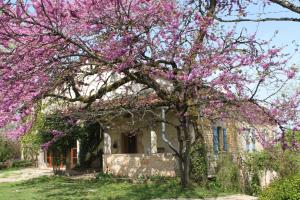 a tree with pink flowers in front of a house at Le Refuge aux étoiles in Saint-Antonin