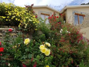 a garden of flowers in front of a house at Hostal Palacio del Inca in Comunidad Yumani