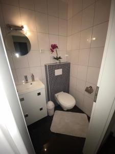 a small bathroom with a toilet and a sink at International 4 in Bad Harzburg