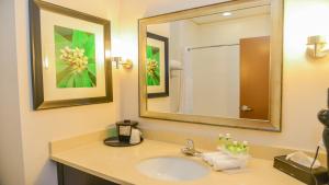 a bathroom with a sink and a mirror at Holiday Inn Express Hotels & Suites Cuero, an IHG Hotel in Cuero