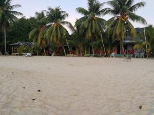 a beach with palm trees in front of a building at Rainbow Tioman Cottage in Kampong Juara