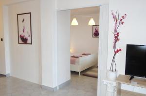 TV a/nebo společenská místnost v ubytování Tolena Heviz Apartments + 83 fotografií