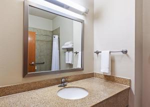Vannituba majutusasutuses Holiday Inn Express & Suites - Pharr by IHG