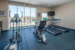 a gym with treadmills and ellipticals in a room at Holiday Inn Express & Suites Santa Clara by IHG in Santa Clara