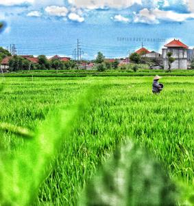 a man standing in a field of green grass at Bali Eco Living Yoga Healing Meditation and Retreat Center in Denpasar