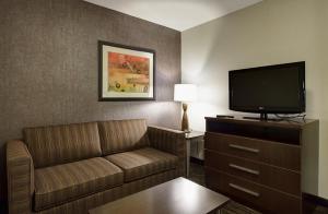 a living room with a couch and a flat screen tv at Holiday Inn Express & Suites North Fremont, an IHG Hotel in Fremont