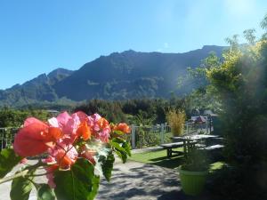 Paesaggio naturale nelle vicinanze del bed & breakfast