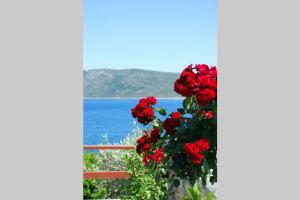 Galería fotográfica de Vila Elena 2 astoning view en Steni Vala Alonissos