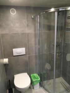 a bathroom with a shower and a toilet at City Space Apartments in Krakow