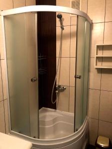 a shower with a glass door in a bathroom at GIL Apartments, Lermontova 1a, centre in Uzhhorod