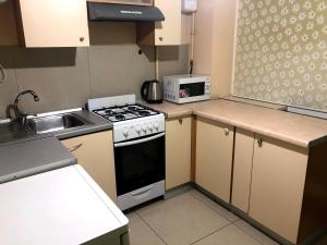 a small kitchen with a stove and a microwave at GIL Apartments, Lermontova 1a, centre in Uzhhorod