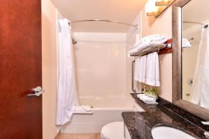 a bathroom with a shower, toilet and sink at Holiday Inn Express Edmonton North, an IHG Hotel in Edmonton