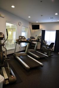 a gym with several tread machines in a room at Holiday Inn Express & Suites Youngstown West I 80, an IHG Hotel in Austintown