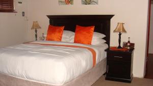 1 dormitorio con 1 cama grande con almohadas de color naranja en MixoSunrise Guesthouse & Spa, en Pretoria