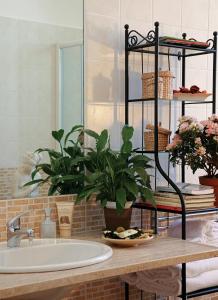 een badkamer met een wastafel en een plant op een aanrecht bij B&B Luna Caprese in Napels