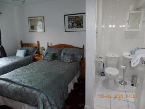 a bedroom with a bed and a toilet and a sink at Oakdene Apartments in Windermere